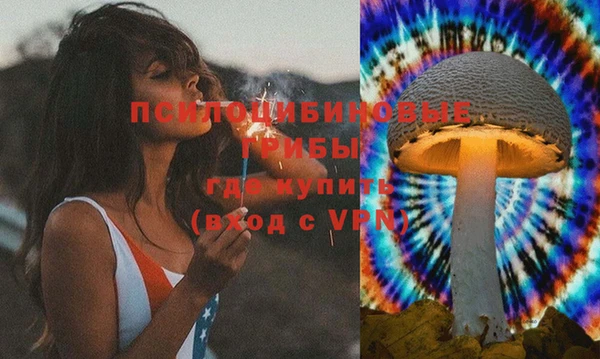 ALPHA-PVP Верхний Тагил