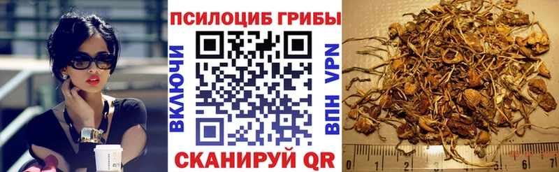 Галлюциногенные грибы Psilocybine cubensis  Кировград 